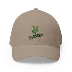Papi 420 - Closed - Back Cap ( Embroidery )