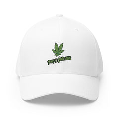 Papi 420 - Closed - Back Cap ( Embroidery )