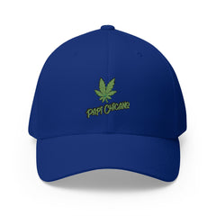 Papi 420 - Closed - Back Cap ( Embroidery )